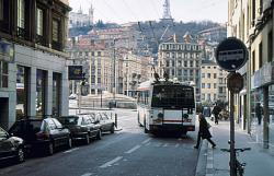 [Trolleybus (ligne 1), rue d'Algérie]