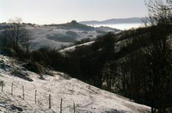 [Paysage de vignes]