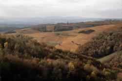 [Paysage de vignoble]