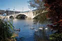 [Pont Pasteur sur le Rhône]