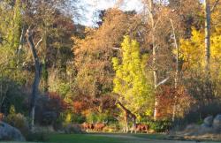 [Parc de la Tête d'Or, la plaine africaine]