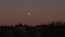 [Quai Saint-Antoine]