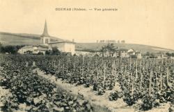 Odenas (Rhône). - Vue générale