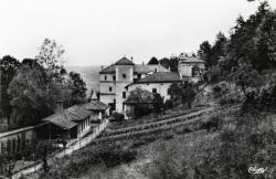 Millery (Rhône). - Château Descours. - Vue générale