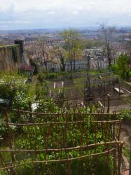 Jardins ouvriers, bastion Saint-Just