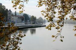 Rives de Saône, face à l'Île Barbe