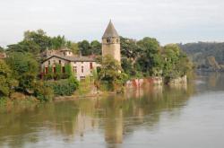 Rives de Saône, face à l'Île Barbe