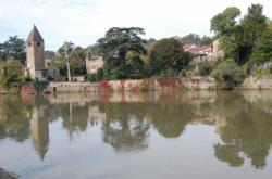 Rives de Saône, face à l'Île Barbe