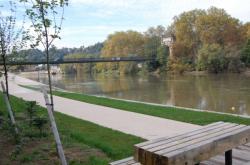 Rives de Saône, face à l'Île Barbe