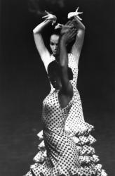[Biennale de la danse de Lyon (1992)]