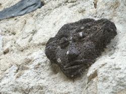 Tête sculptée en basalte, Antraigues-sur-Volane, Ardèche