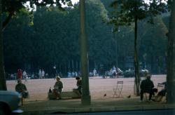 [Sous les marronniers de la place Bellecour]