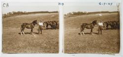 Allardon et ses chevaux dans son champs à Manissieux