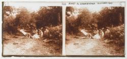 Forêt de Chambaran