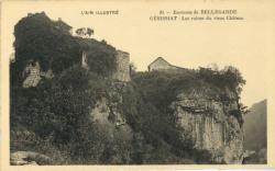 Environ de Bellegarde. - Génissiat - Les ruines du Vieux Château