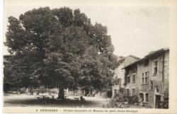 Pérouges - Tilleul séculaire et Maison du petit Saint-Georges