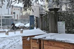 Boîte à livres et compost sous la neige, Lyon, 8e arrondissement