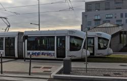 Tramways T6 se croisant, Mermoz-Pinel, Lyon, 8e arrondissement