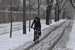 Cycliste sous la neige, Bron