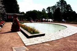 Festival des Roses, Grande Roseraie, Parc de la Tête d'Or, Lyon 6e