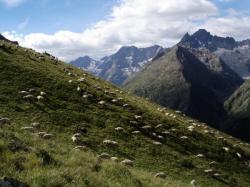 Aiguille du Plat de la Selle, massif des Ecrins, Isère
