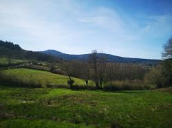 Balade autour de Monsols, Mont Saint-Rigaud (Rhône).