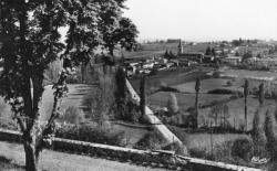 Denicé (Rhône). - Vue général