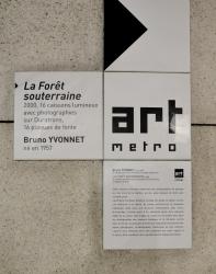 La forêt souterraine, Bruno Yvonnet, station de métro Debourg, Lyon 7e