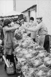 [Marché de Villeurbanne (Rhône)]