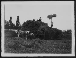 Les moissons chez Farge à Tassin