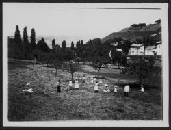 Les moissons chez Farge à Tassin