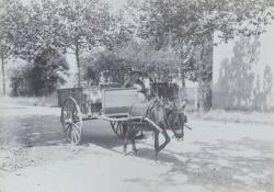 Bron, route de Grenoble, marchand de légumes Rémy