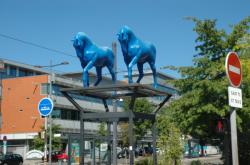 Chevaux bleus d'Assan Smati