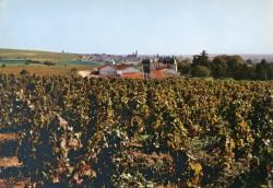 Juliénas en Beaujolais (Rhône). - La coopérative et vue d'ensemble sur les vignobles