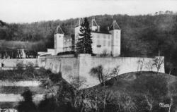 Limonest (Rhône). - Château de la Barollière, vue d'ensemble