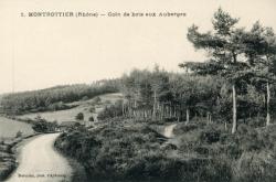 Montrottier (Rhône). - Coin de bois aux Auberges