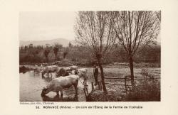 Morancé (Rhône). - Un coin de l'Etang de la Ferme de l'Izérable