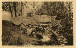 Mornant (Rhône). - Ruines du Pont-Aqueduc romain du Corsonnas