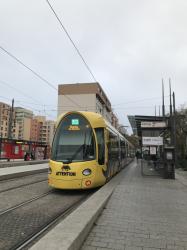 Tram customisé "Attention 1 tramway = 40 rhinocéros"