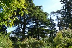 Jardin de la Bonne Maison, La Mulatière