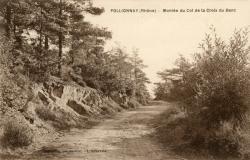 Pollionnay (Rhône). - Montée du Col de la Croix du Banc