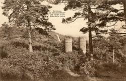 Environ de Pollionnay. - Les Tours et les Bois de la Luère