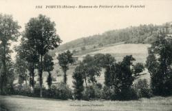 Pomeys (Rhône). - Hameau du Péritord et bois du Fourchet