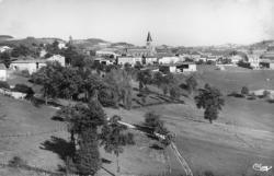 Pomeys (Rhône). - Vue générale