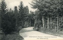 Propières (Rhône). - Route de Propières aux Echarmeaux