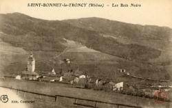 Saint-Bonnet-le-Troncy. - Les Bois Noirs