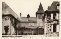 St-Didier-sur-Beaujeu (Rhône). - Château des Fayets