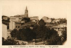 Saint-Didier-au-Mont-d'Or (Rhône). - Vue générale