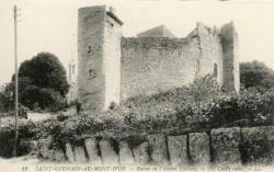 Saint-Germain-au-Mont-d'Or. - Ruines de l'Ancien Château. - Old castle ruins