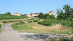 Promenade dans les vignes, Pommiers, Rhône